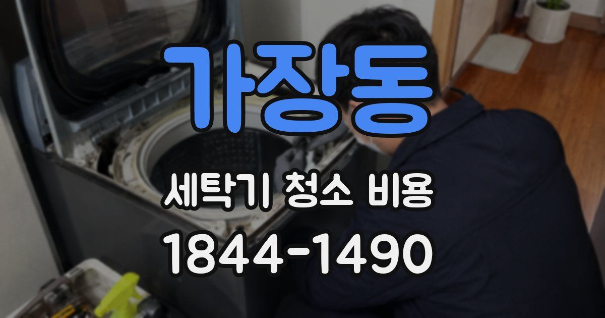 가장동 세탁기 청소 비용