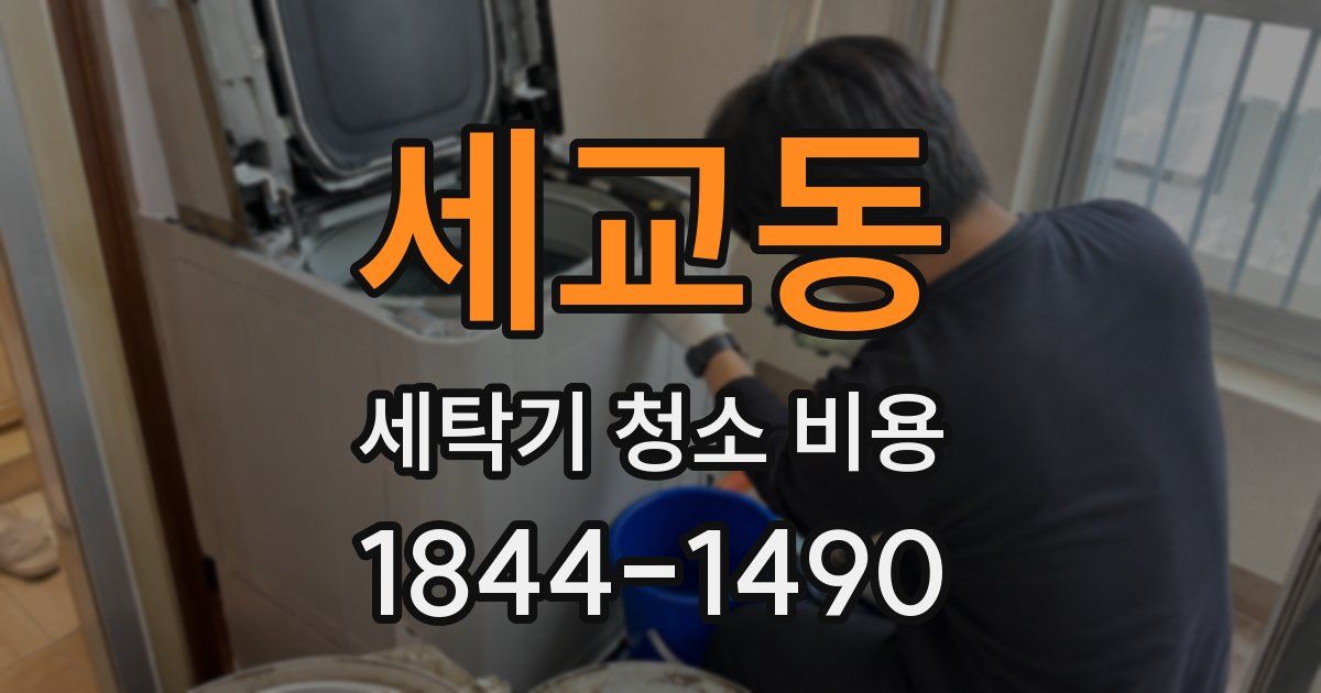 세교동 세탁기 청소 비용