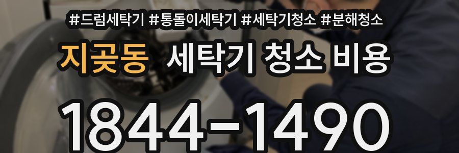 지곶동 세탁기 청소 비용