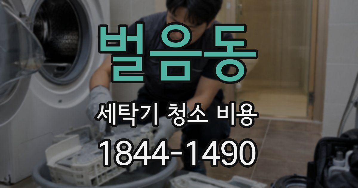 벌음동 세탁기 청소 비용