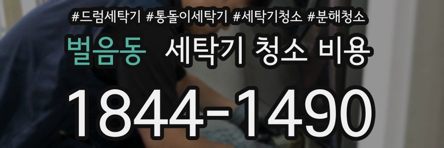 벌음동 세탁기 청소 비용
