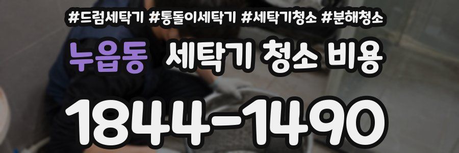 누읍동 세탁기 청소 비용