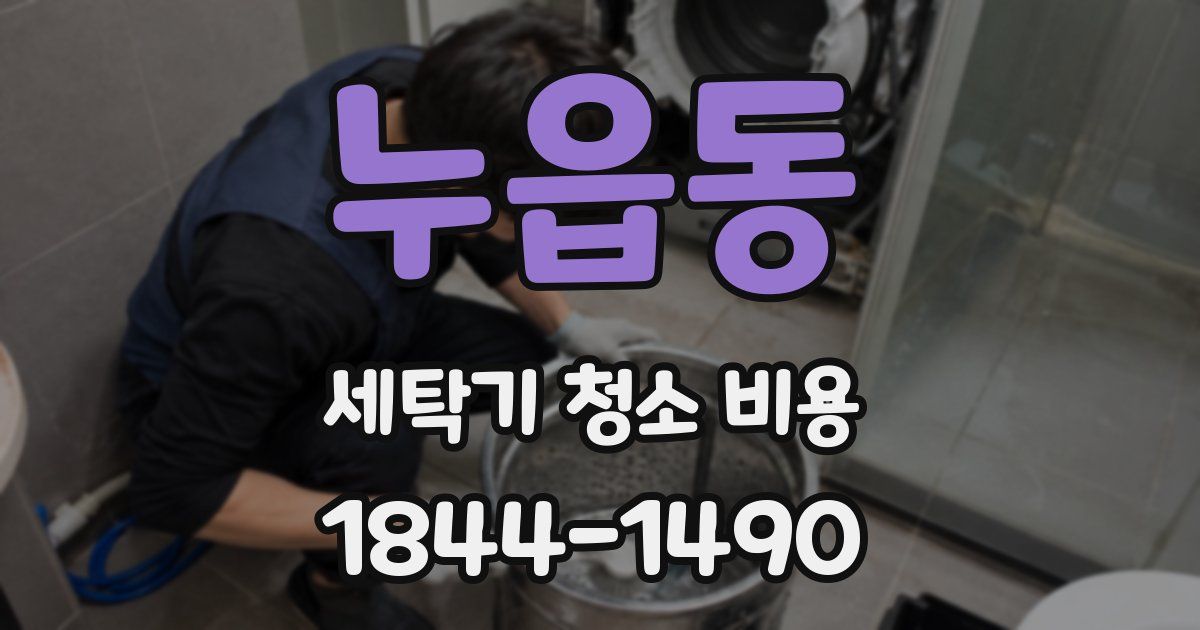 누읍동 세탁기 청소 비용