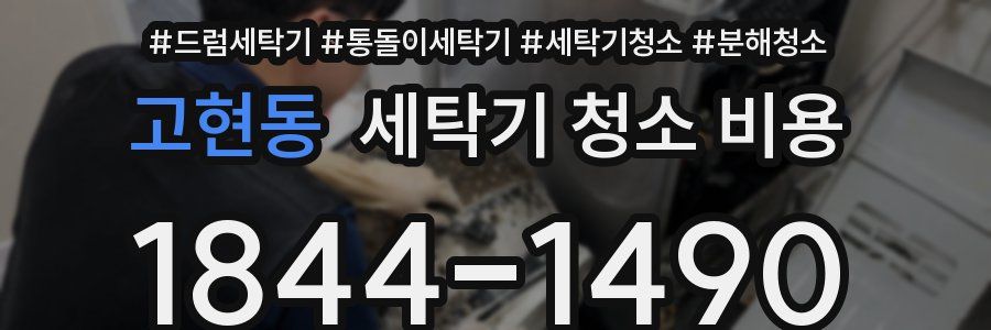 고현동 세탁기 청소 비용