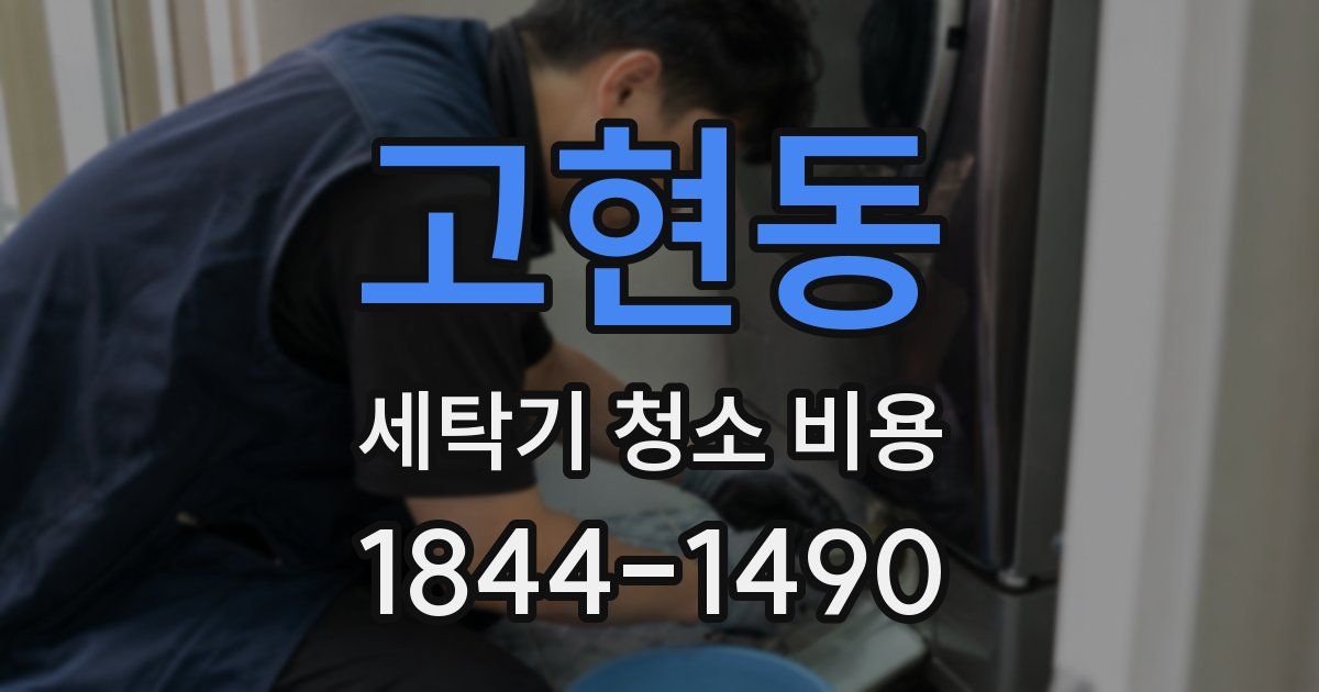 고현동 세탁기 청소 비용