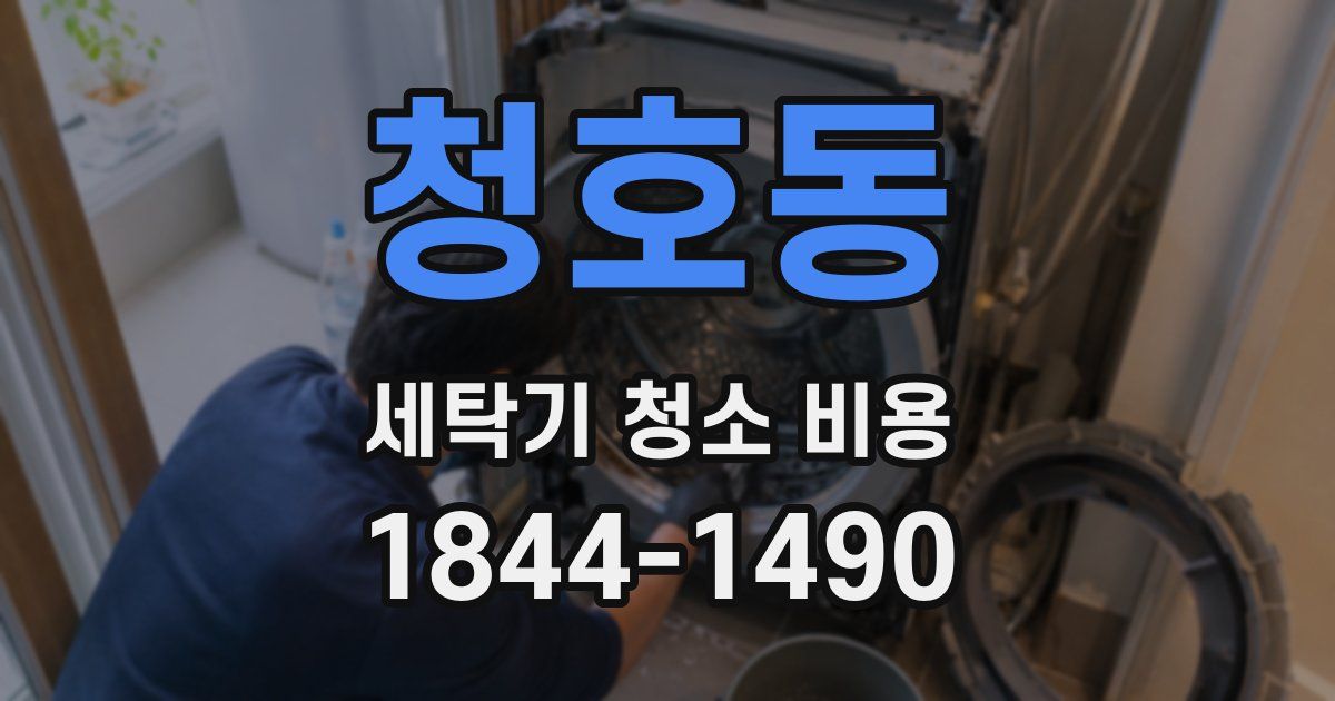 청호동 세탁기 청소 비용