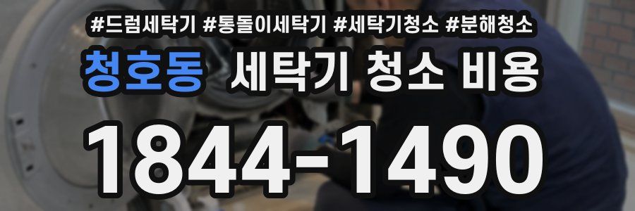 청호동 세탁기 청소 비용