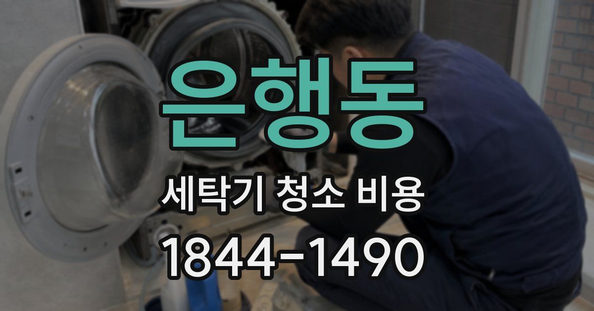 은행동 세탁기 청소 비용