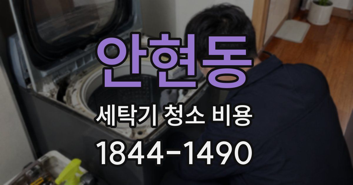 안현동 세탁기 청소 비용