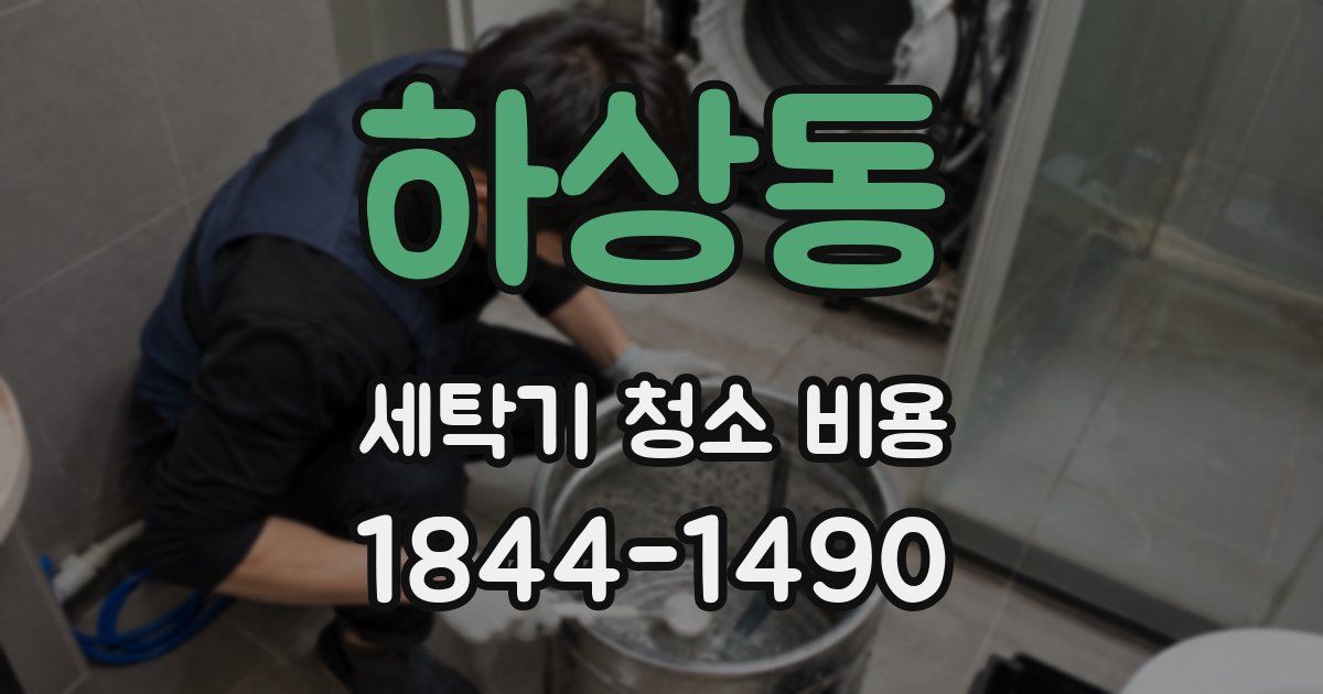 하상동 세탁기 청소 비용