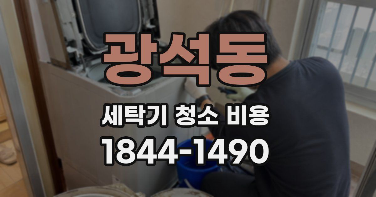 광석동 세탁기 청소 비용