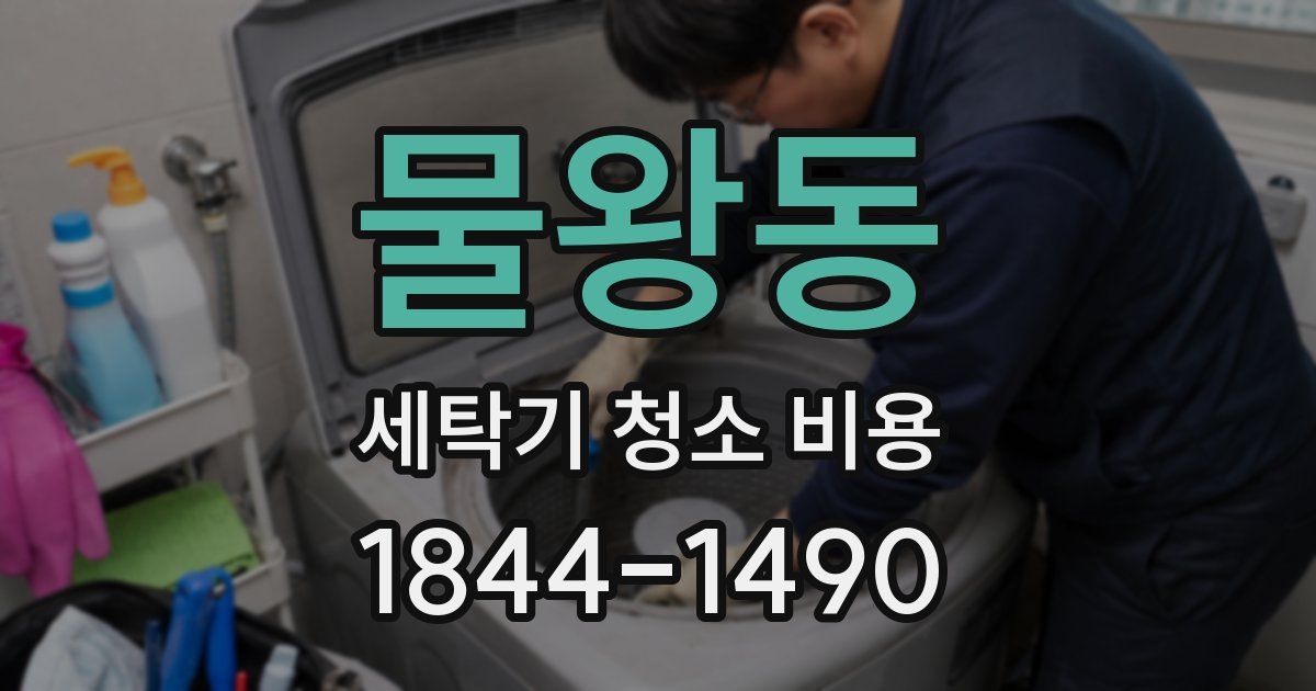 물왕동 세탁기 청소 비용