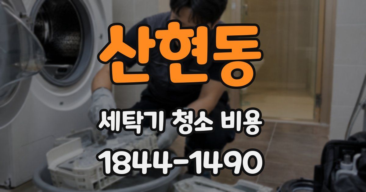 산현동 세탁기 청소 비용
