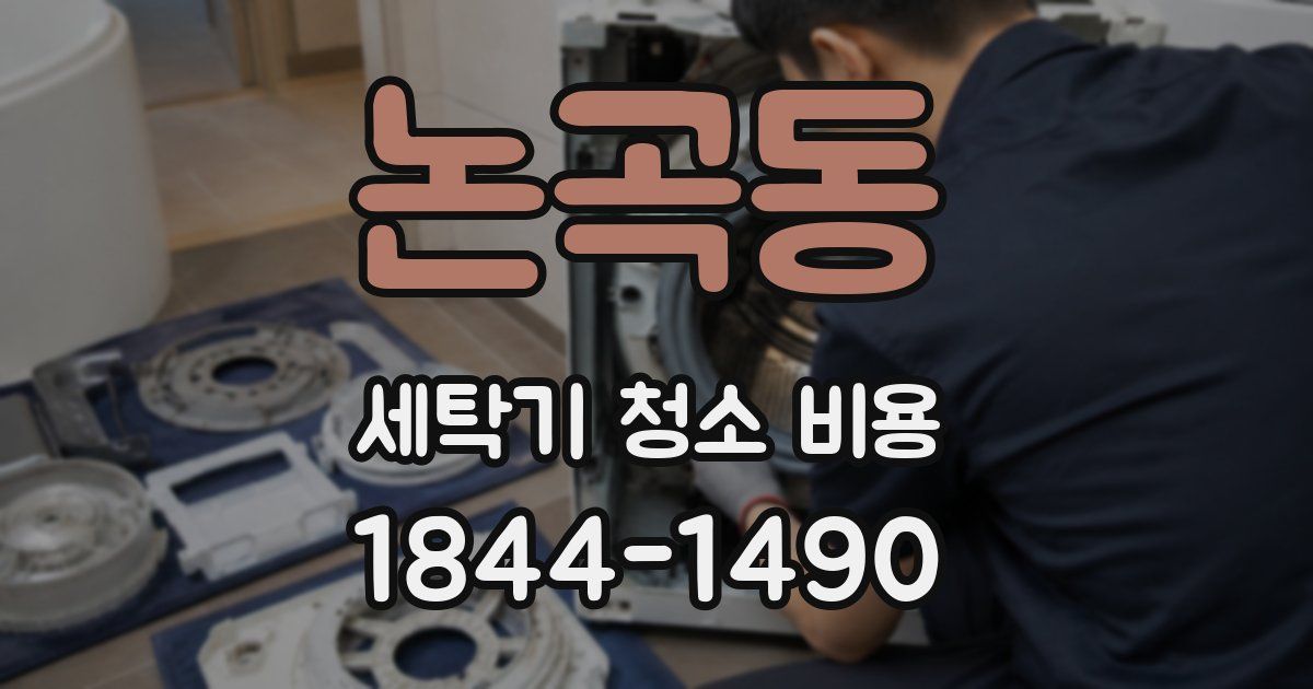 논곡동 세탁기 청소 비용