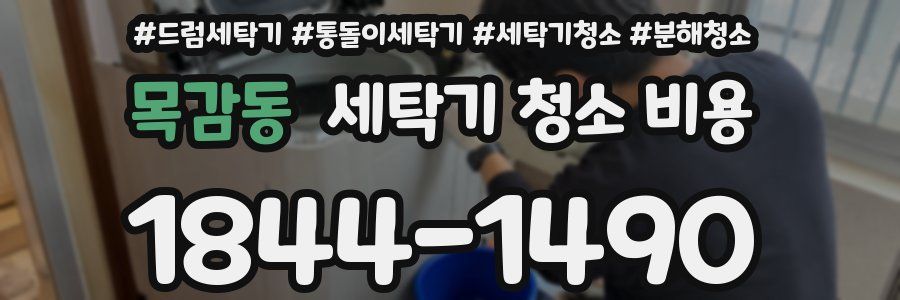 목감동 세탁기 청소 비용