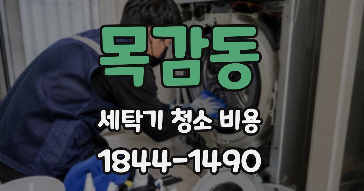 목감동 세탁기 청소 비용