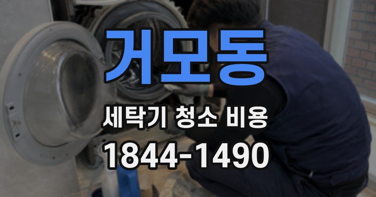 거모동 세탁기 청소 비용