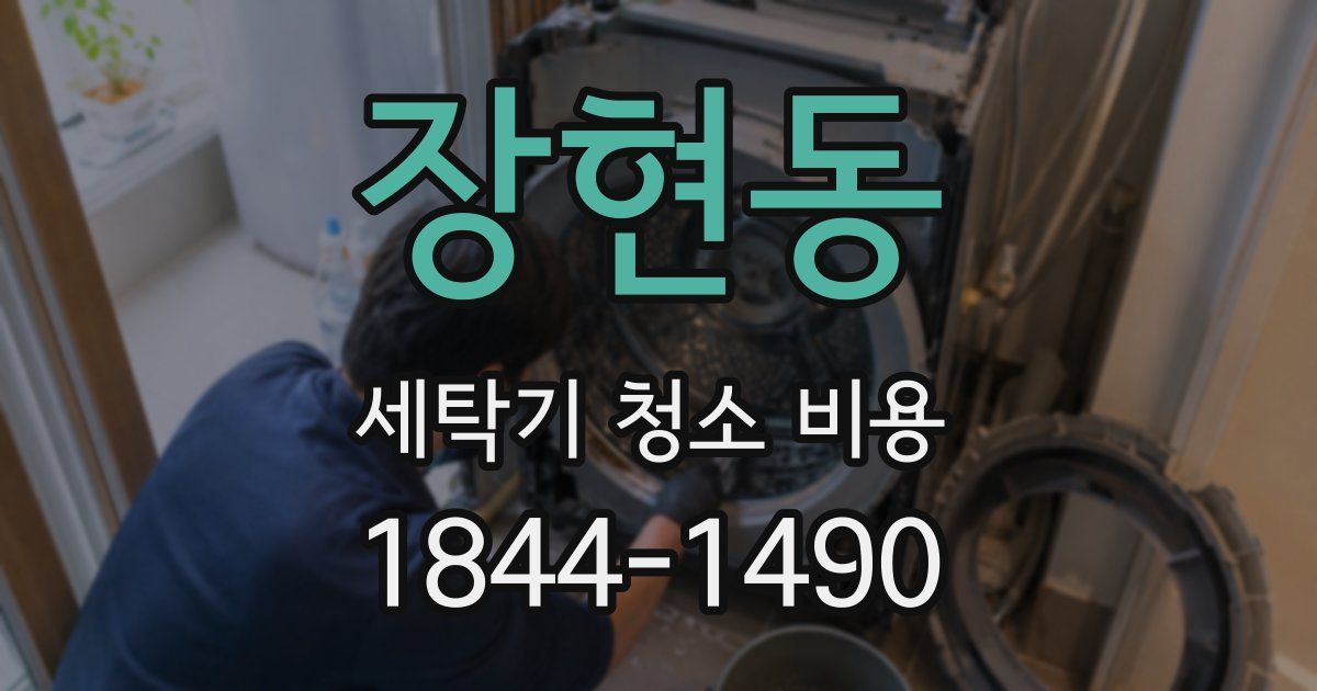 장현동 세탁기 청소 비용