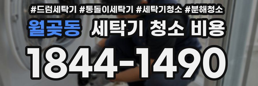 월곶동 세탁기 청소 비용