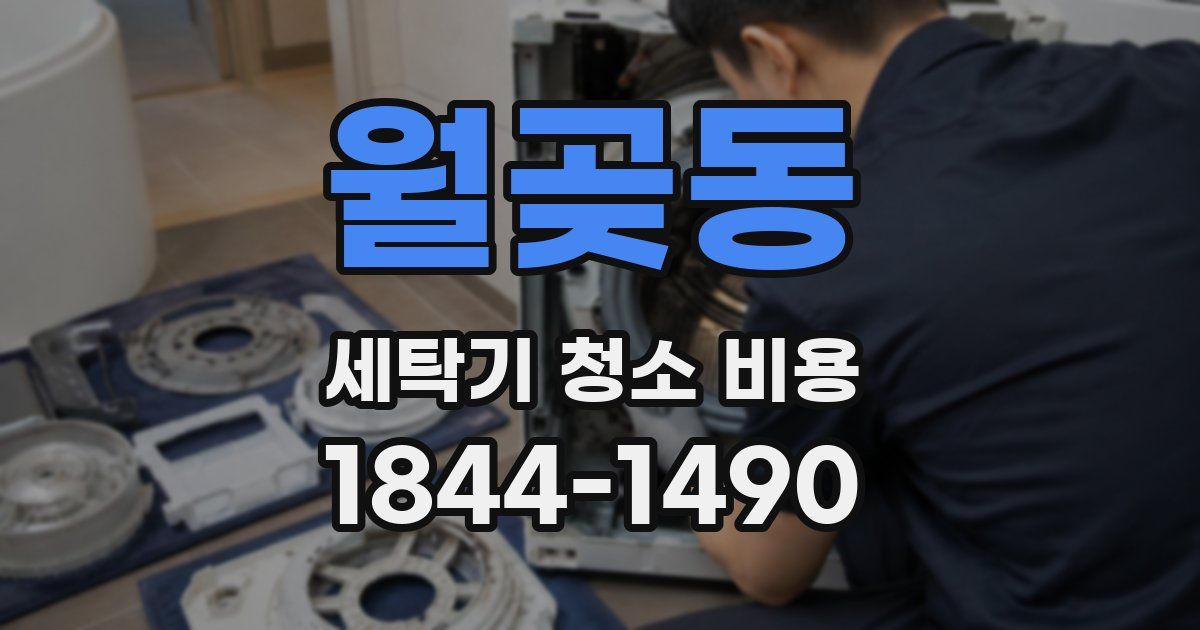 월곶동 세탁기 청소 비용