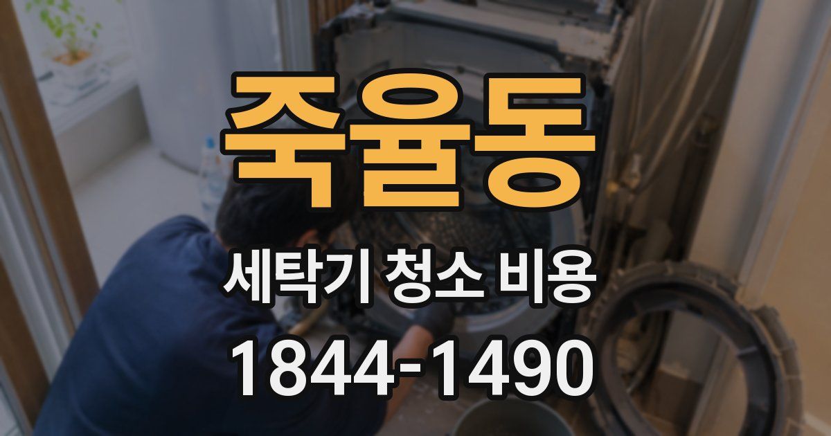 죽율동 세탁기 청소 비용