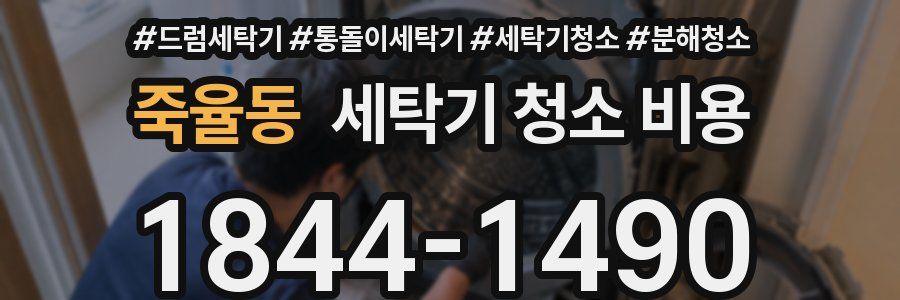 죽율동 세탁기 청소 비용