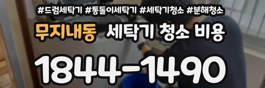 무지내동 세탁기 청소 비용