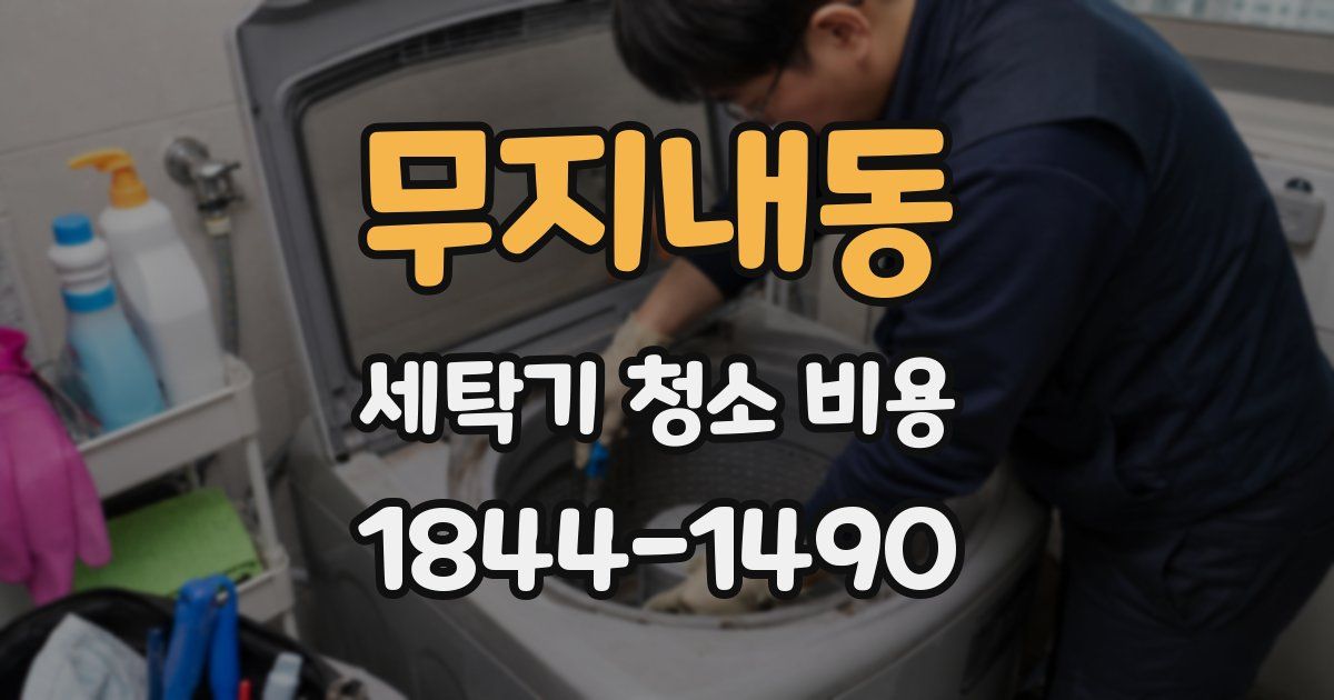 무지내동 세탁기 청소 비용