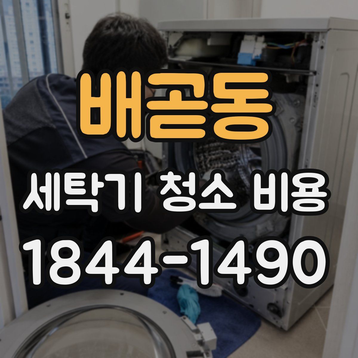 배곧동 세탁기 청소 비용