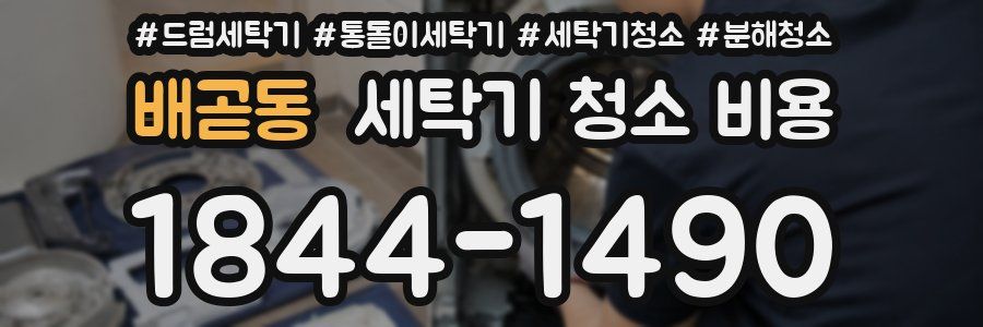 배곧동 세탁기 청소 비용