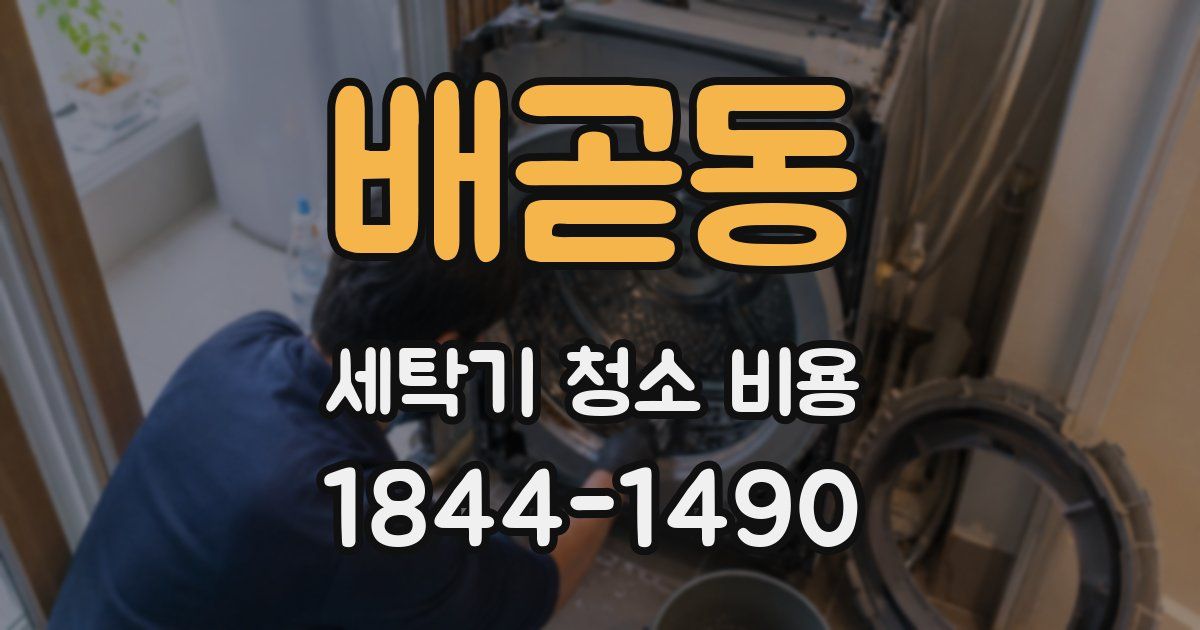 배곧동 세탁기 청소 비용