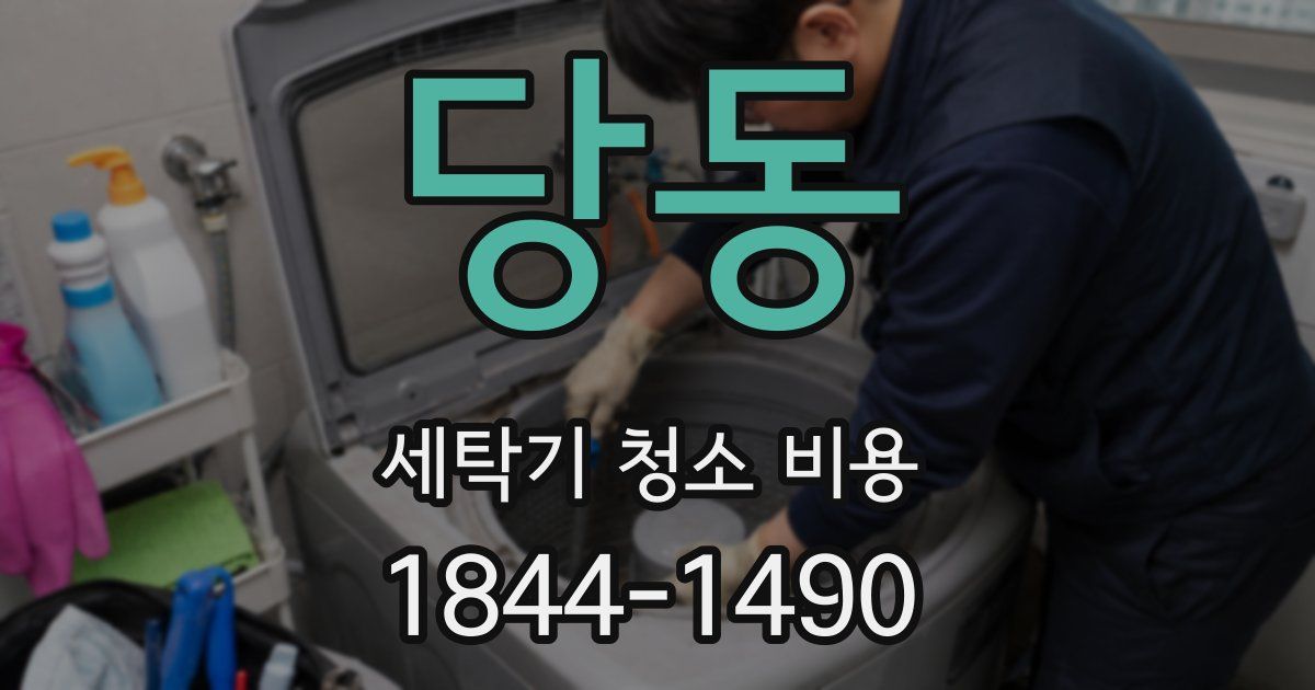 당동 세탁기 청소 비용