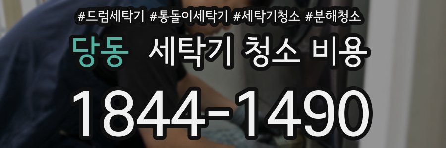 당동 세탁기 청소 비용