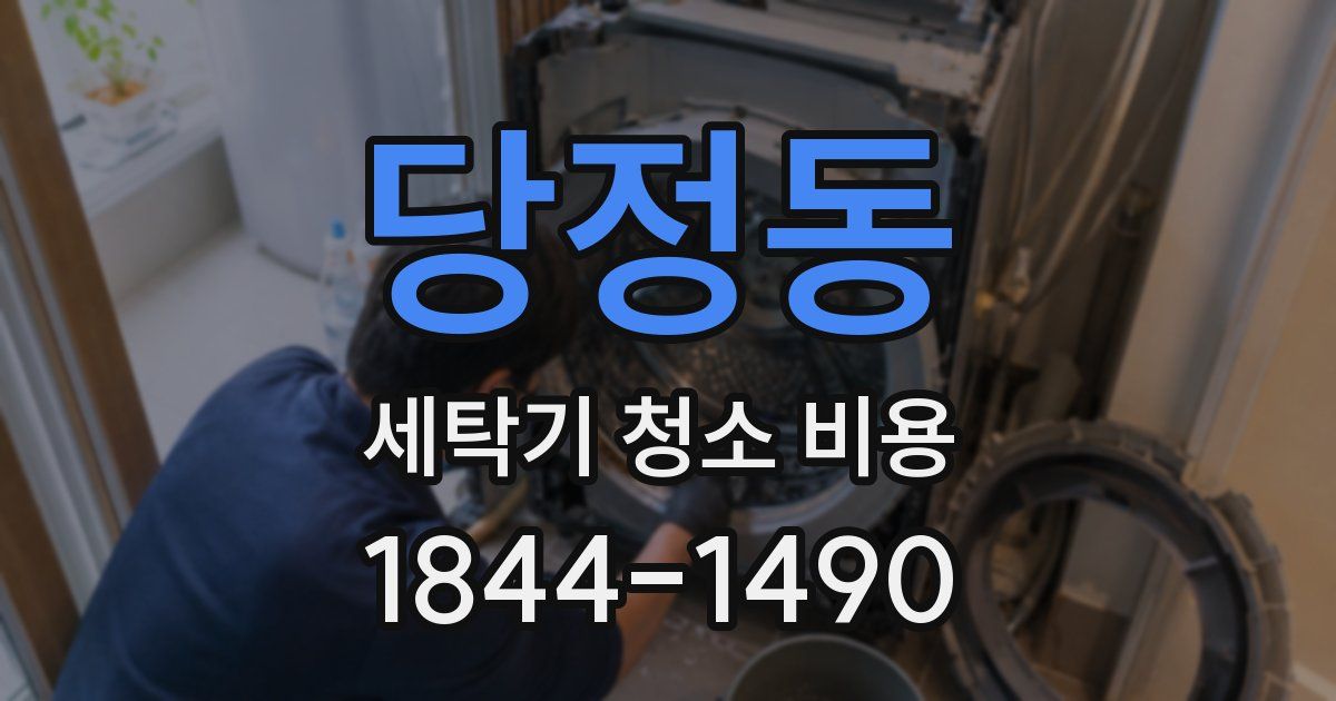 당정동 세탁기 청소 비용