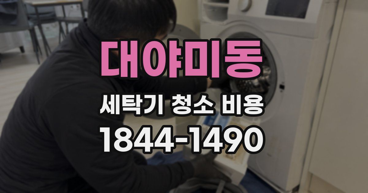대야미동 세탁기 청소 비용