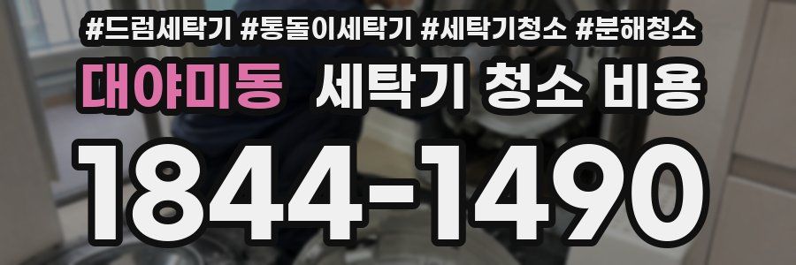 대야미동 세탁기 청소 비용
