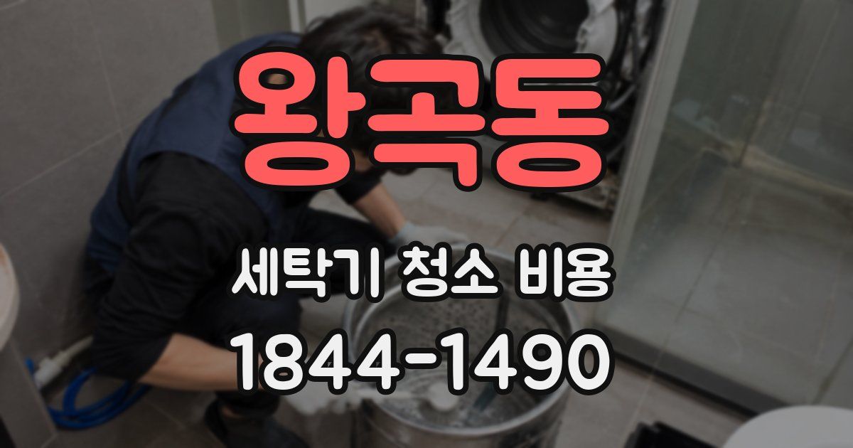 왕곡동 세탁기 청소 비용