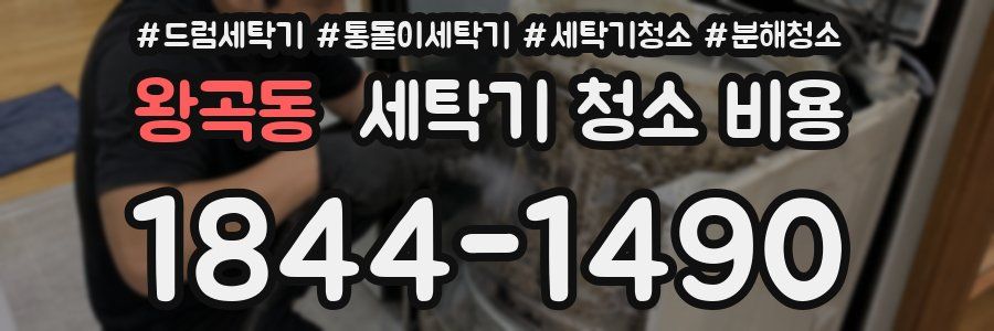 왕곡동 세탁기 청소 비용