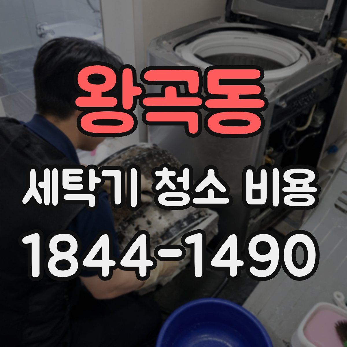 왕곡동 세탁기 청소 비용