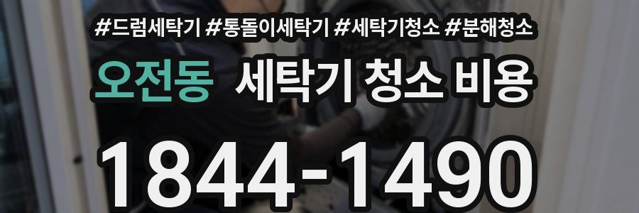 오전동 세탁기 청소 비용