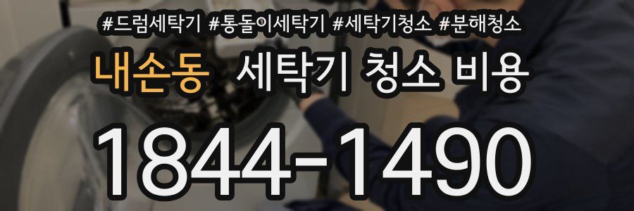 내손동 세탁기 청소 비용