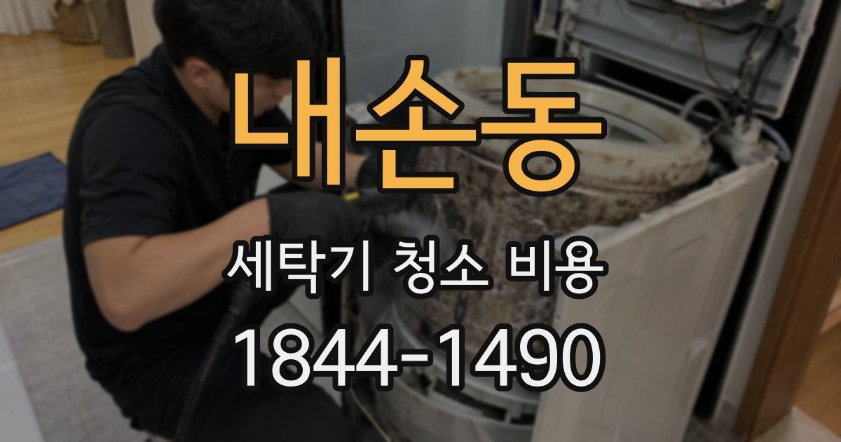 내손동 세탁기 청소 비용