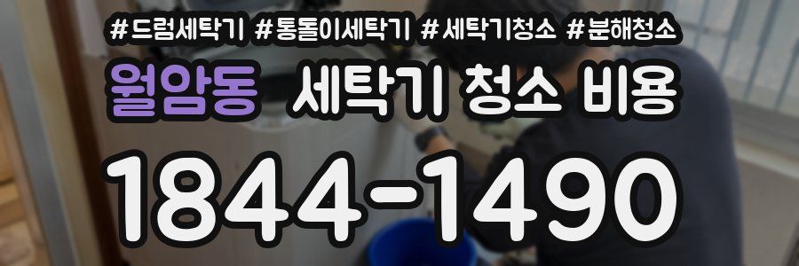 월암동 세탁기 청소 비용