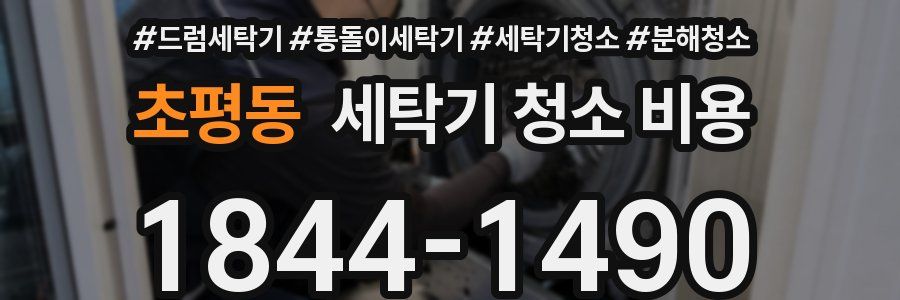 초평동 세탁기 청소 비용