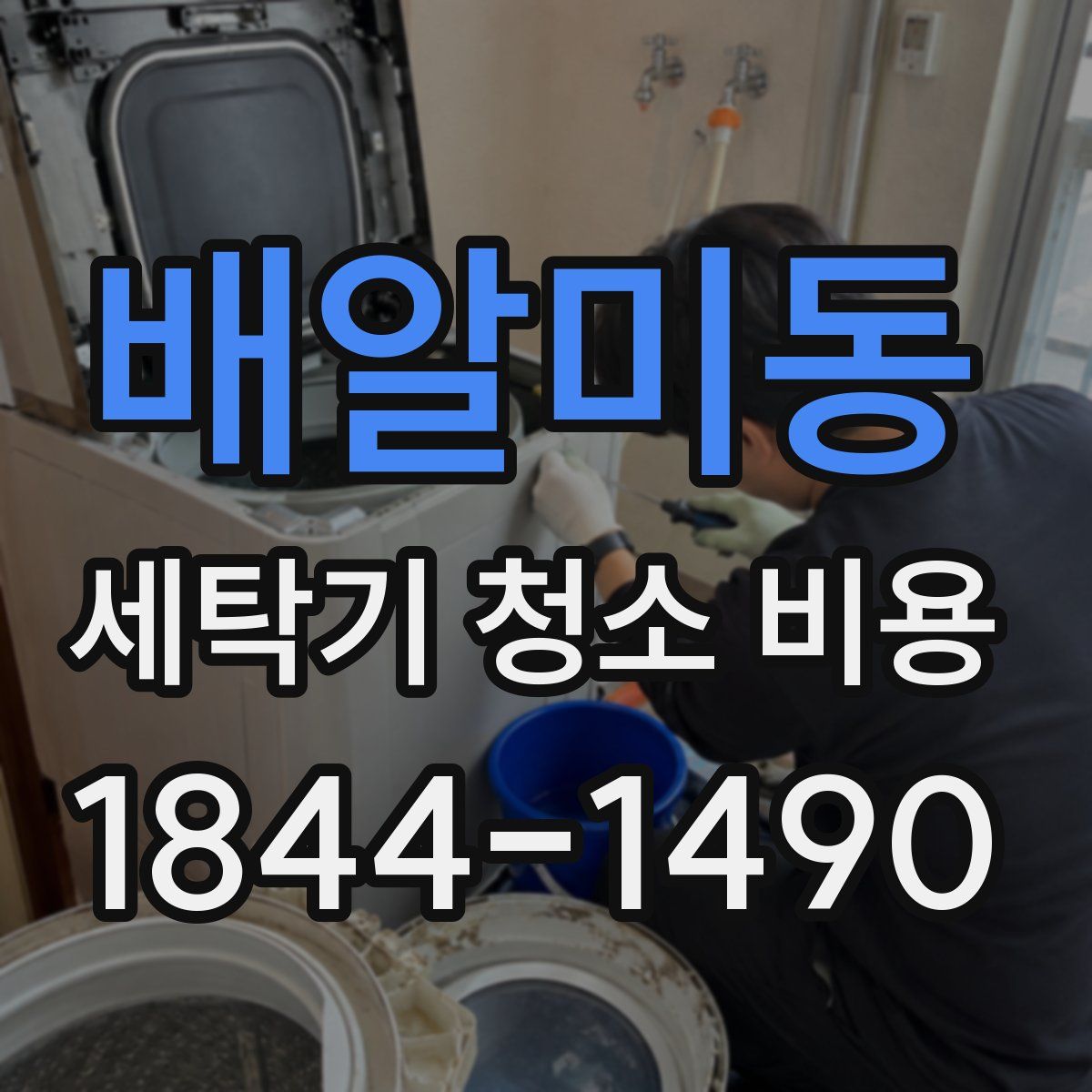 배알미동 세탁기 청소 비용