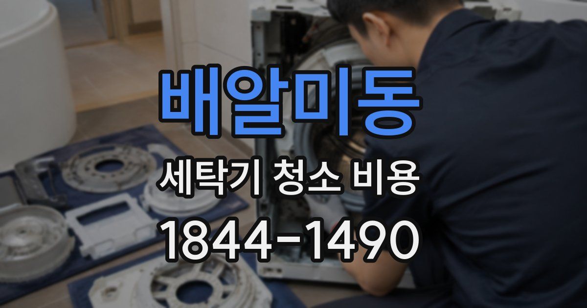 배알미동 세탁기 청소 비용