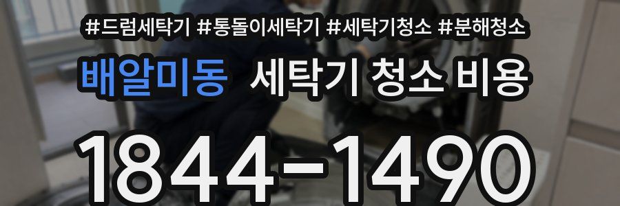 배알미동 세탁기 청소 비용