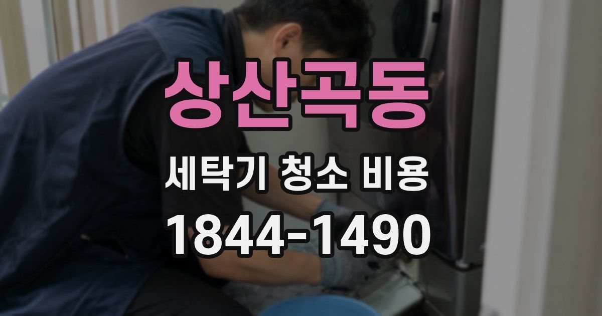 상산곡동 세탁기 청소 비용