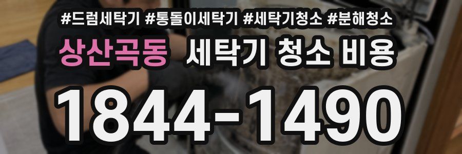 상산곡동 세탁기 청소 비용