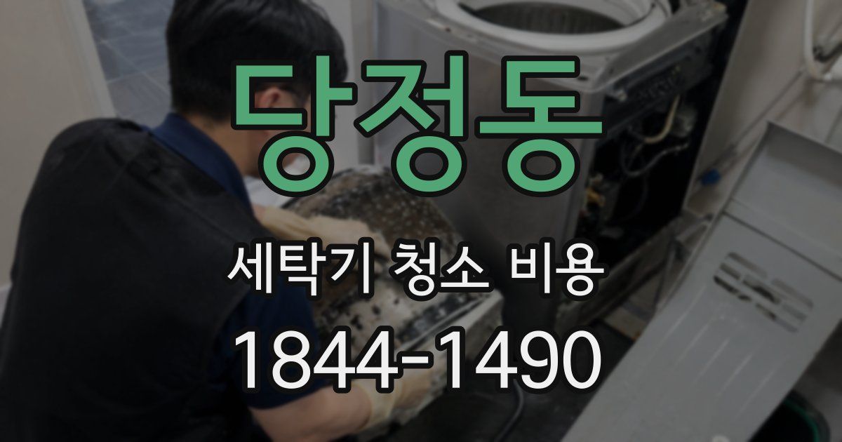당정동 세탁기 청소 비용